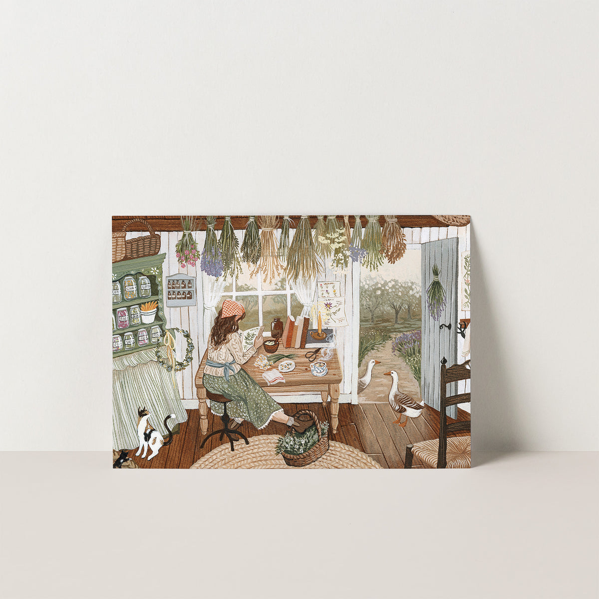THE HERBALIST postcard